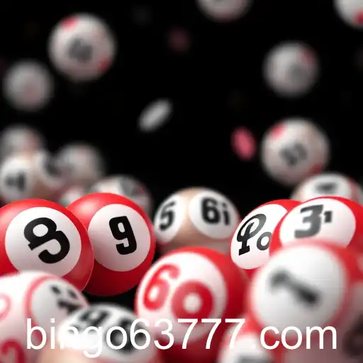The Evolution of Bingo in the Digital Age